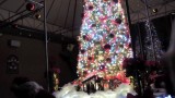 Tutto Pazzo Annual Christmas Tree Lighting